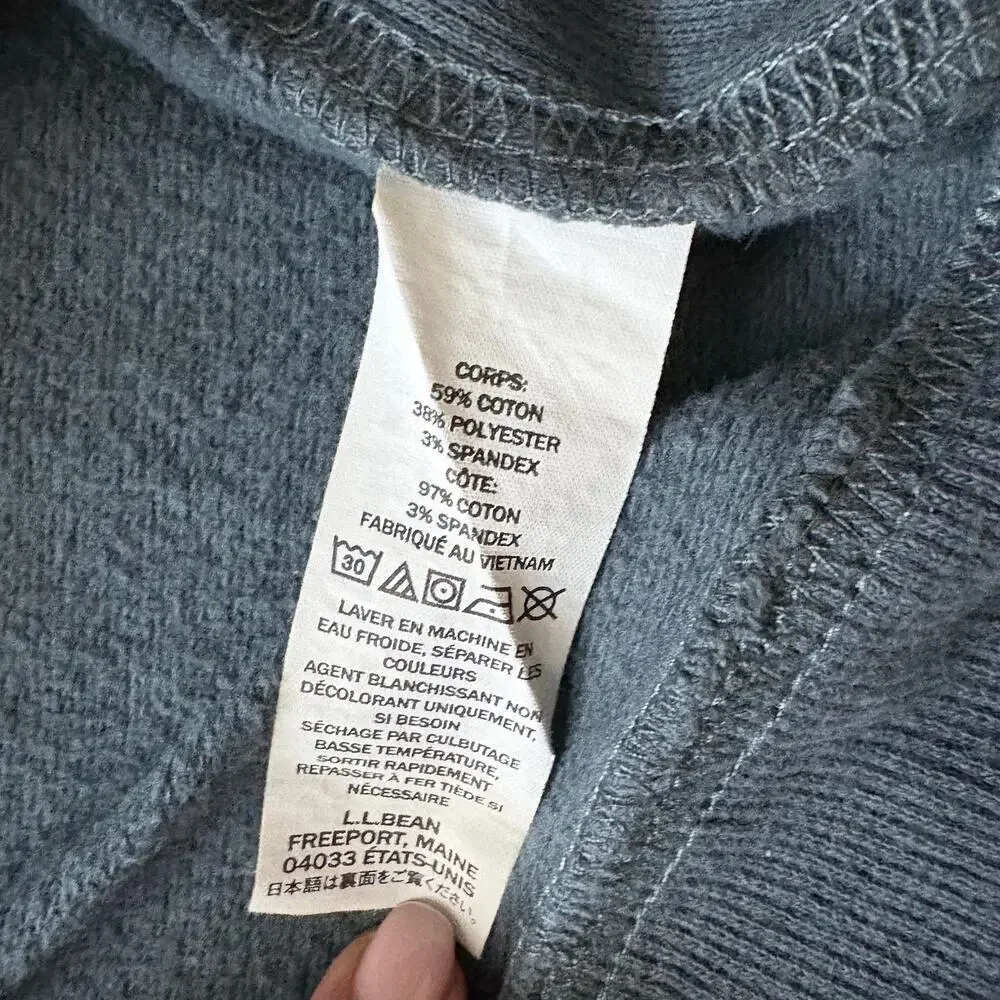 L.L.Bean Slightly Fitted Hoodie Size L Mountain Graphic Pullover Gray GORPCORE
